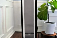 Thriving Remotely: My Blueprint for Connection and Purpose