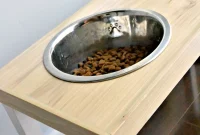 Homemade Stay-Put Dog Dish