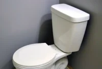 Installing a Toilet Made Easy