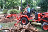 Yard Restoration: Conquering the Sinkhole, The Third Chapter
