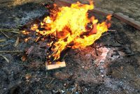 Autumn Bonfires Stump Disposal