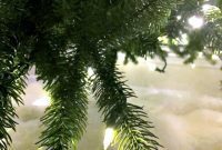 My Tree in Undress