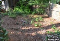Ground Breaking: The Formation of Sinkholes