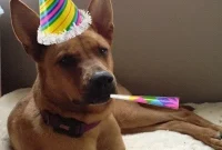Cheers to Our Birthday!
