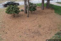 Craigslist Yard Debris Removal Results