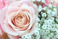 Secrets to Long-Lasting Cut Flowers