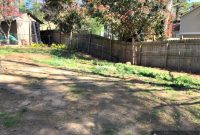 Seed Your Way to a Stunning Backyard