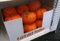 Dollar Store Autumn Treasures