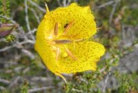 Coastal Wonders: La Jolla and Torrey Pines Hikes