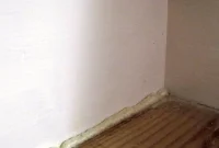GREAT STUFF Foam Sealant Put To The Test