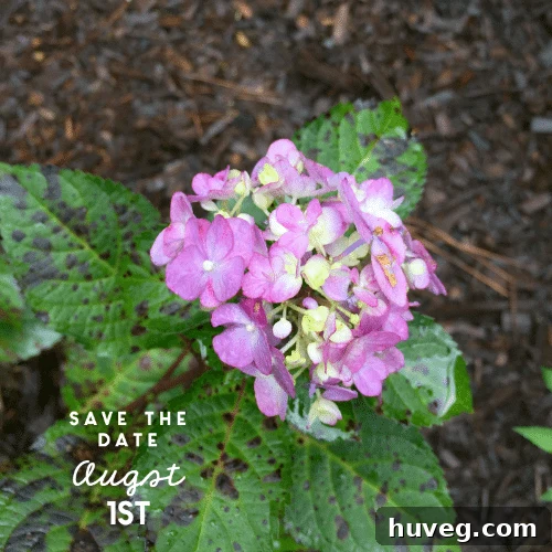 featured 14284
