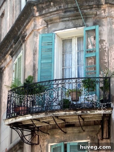 featured 1431