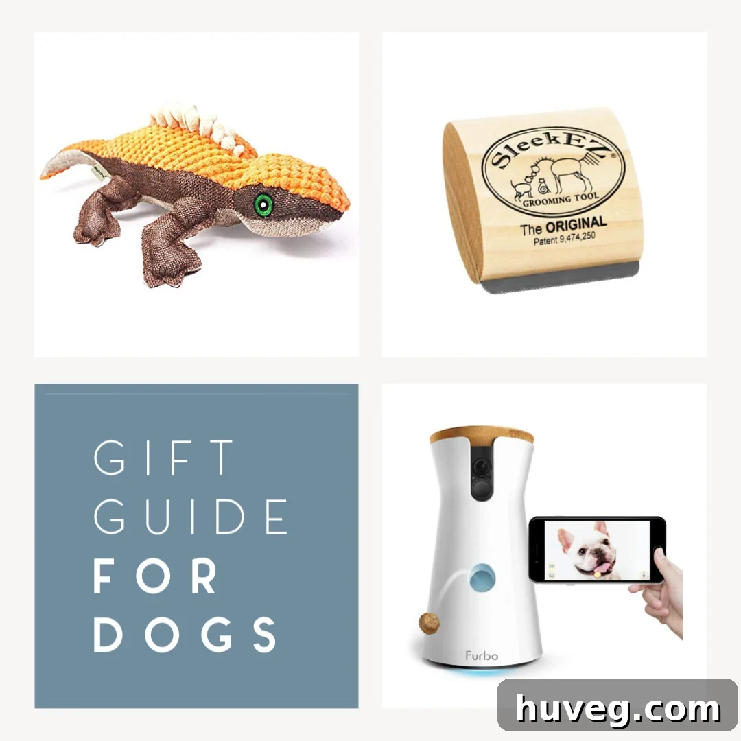 featured 14913