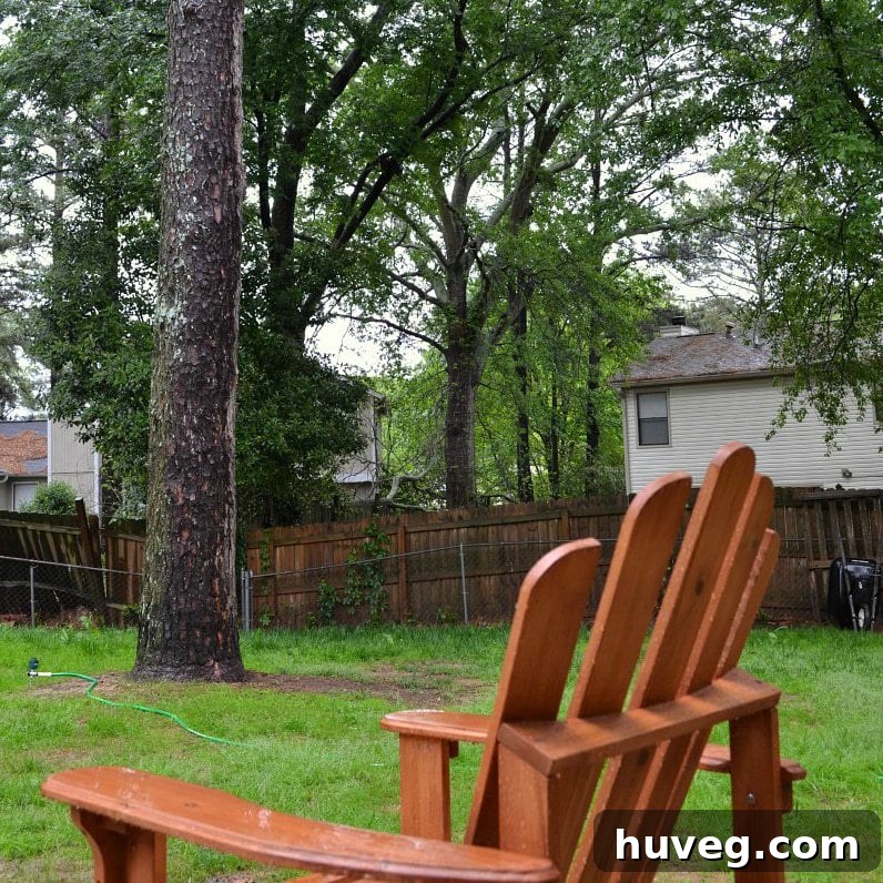 featured 14922