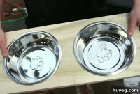 Homemade Elevated Pet Feeder