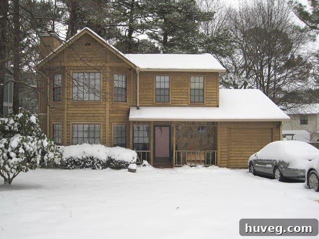 featured 1533
