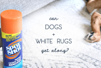 3 Brilliant Hacks for a Spotless White Rug