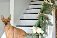 A Gentle Christmas Glow Our Neutral Entryway and Kitchen Tour