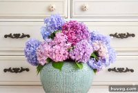 My Complete Guide to Beautiful Hydrangeas Your Questions Answered