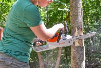 Small Tree Cutting Made Easy