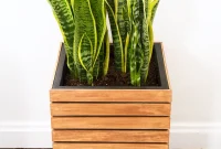 11 Modern Wood Projects Anyone Can Make