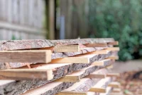 My Neighbor’s Tree, My Lumber: Portable Sawmilling Unleashed