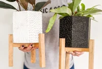 Geometric Hexagon Plant Display with Matching Stand