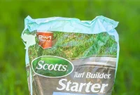 Mastering the Art of Storing Potting Soil, Seeds, and Fertilizer