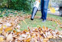 Outdoor Upkeep Made Easy: Your Guide to Tools and Tasks