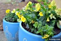 Cultivating Container Confidence