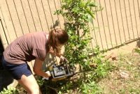 Eradicating Obstacles and Irritants