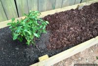 Craft Your Raised Garden Oasis