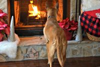 Charlie Butt And Merry Christmas
