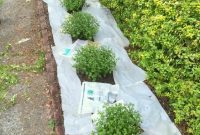Weed-Proof Your Garden with Newspaper and Mulch