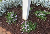 Mailbox Garden Makeover: Edging for Definition, Phlox for Flourish
