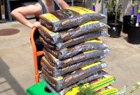 Inspiring Neighbors to Enhance Curb Appeal
