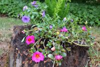 From Stump to Showpiece: A Cascading DIY Planter