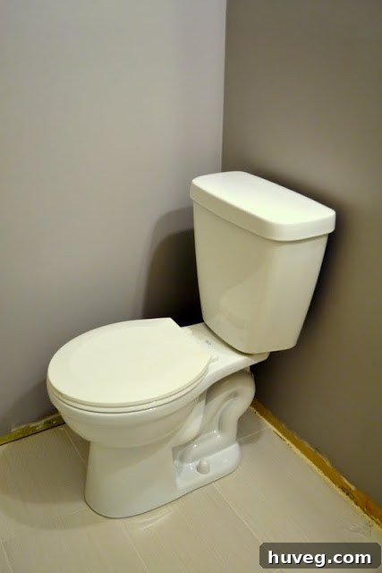 A detailed view of bathroom renovation progress, highlighting newly painted walls, a stylish shower curtain, and a creative re-imagined art piece, showcasing ongoing home improvement efforts.