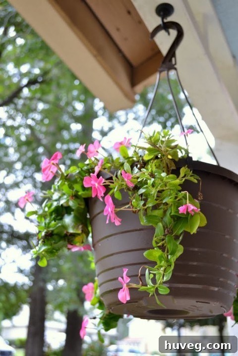 hanging plants
