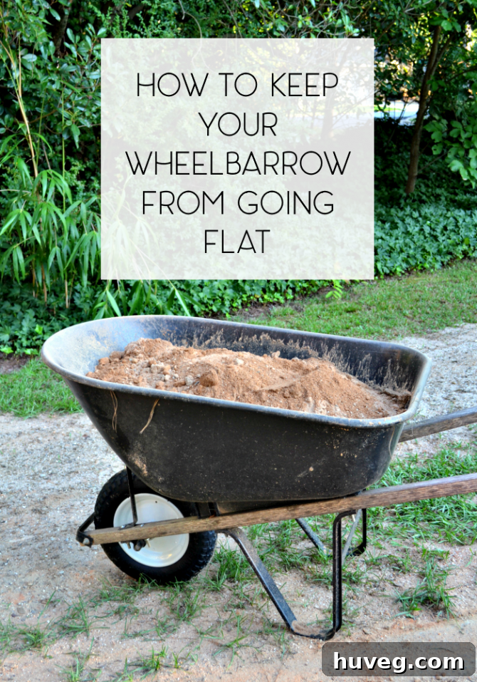 universal tire wheelbarrow full of dirt