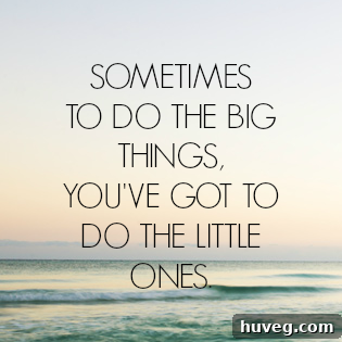 sometimes to do the big things youve got to do the little ones
