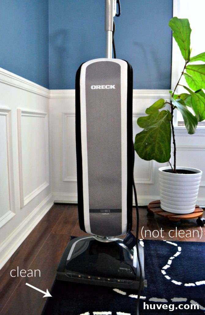 Oreck Elevate Conquer Vacuum Review: A powerful and versatile vacuum for a clean and healthy home office.