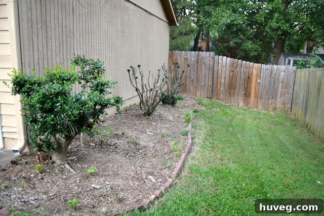 After yard cleanup, showing a tidier and well-maintained landscape