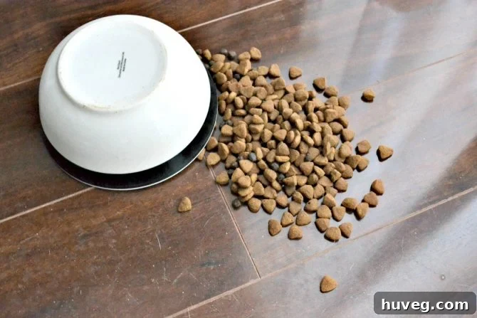 Without a no-slip dog feeder, the dog bowl ended up flipped over on the floor in a big mess. 