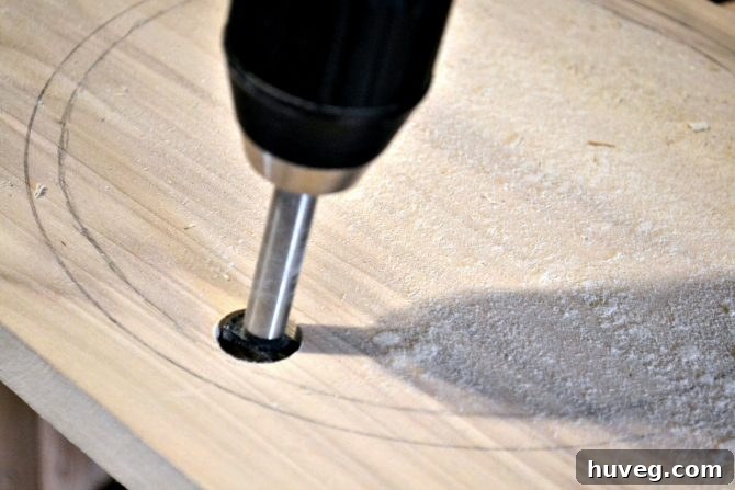 Use a Forstner bit to drill a pilot hole in the wood for your dog bowl, and then cut each hole with a jigsaw. 
