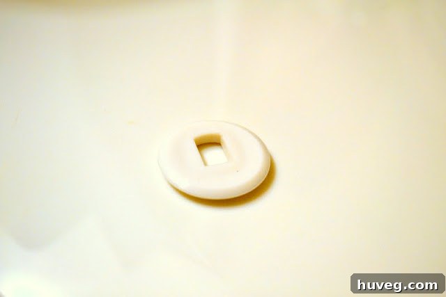 toilet install