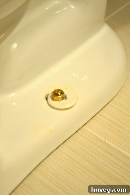 toilet install