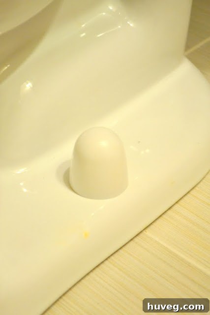 toilet install