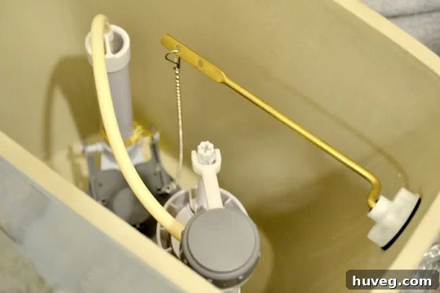toilet install