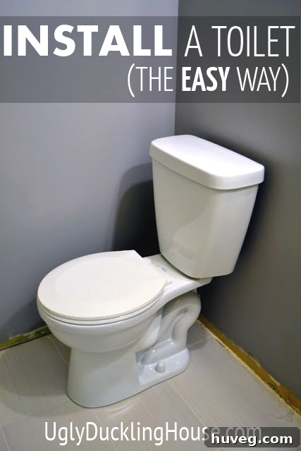 easy toilet install